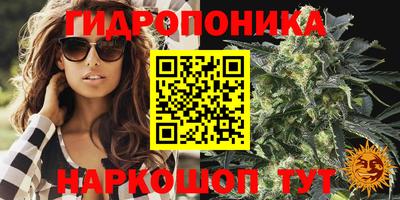 бошки Абакан