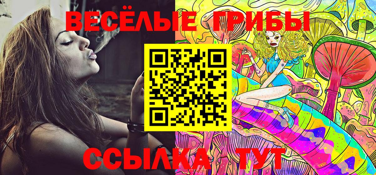 Галлюциногенные грибы мицелий Алексеевка